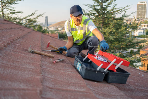 Best Storm Damage Siding Repair  in Saegertown, PA